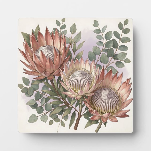 Pink Protea Eucalyptus Botanical Arrangement  Plaque (Front)