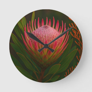 Pink Protea Flower Exotic Bloom Round Clock