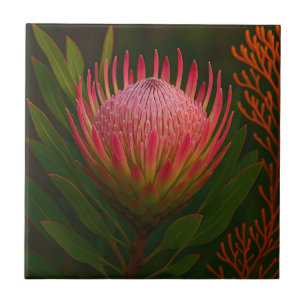 Pink Protea Flower Exotic Bloom Tile