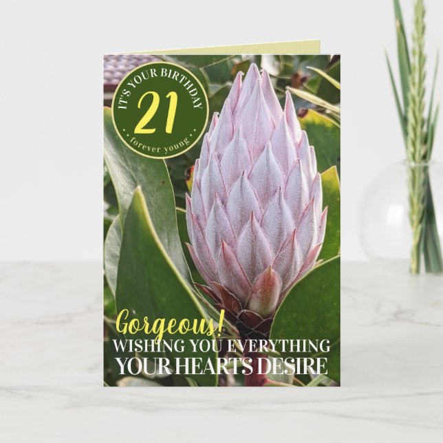 Pink Protea Flower Happy Birthday Card (Front)