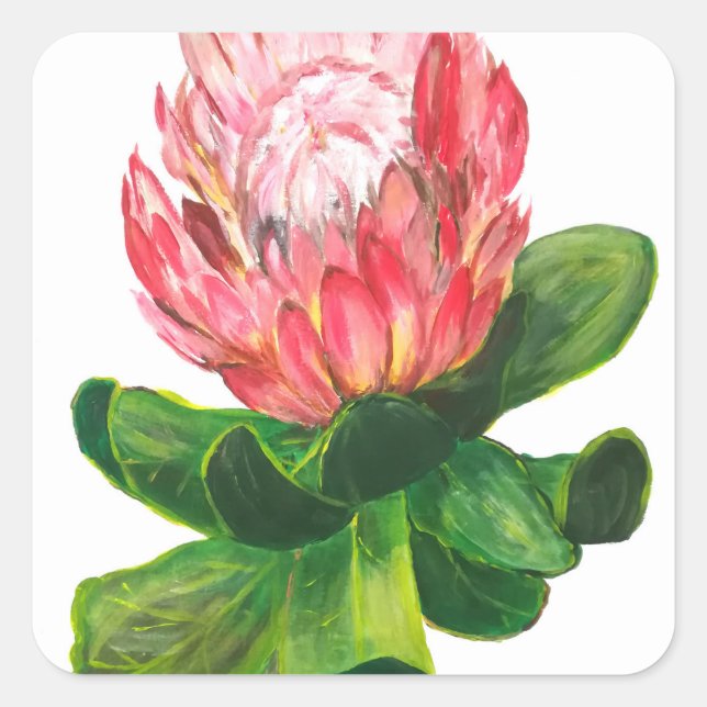 Pink protea, king protea flower, tropical, africa square sticker (Front)