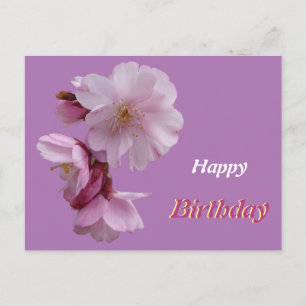 Pink Prunus Flowers Happy Birthday Postcard