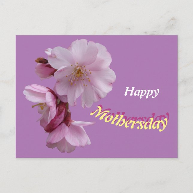 Pink Prunus Flowers Happy Birthday Postcard (Front)