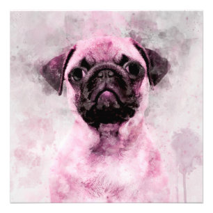 Pink Pug Dog Watercolor Portrait 02 Photo Print