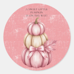 Pink Pumpkin Baby Girl Shower Classic Round Sticker