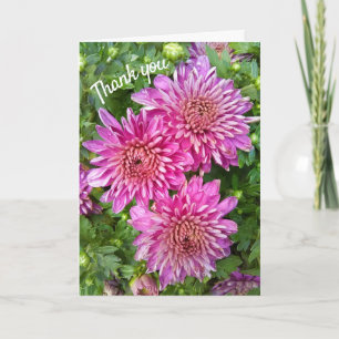 Pink-Purple Chrysanthemums with Raindrops Thank You Card