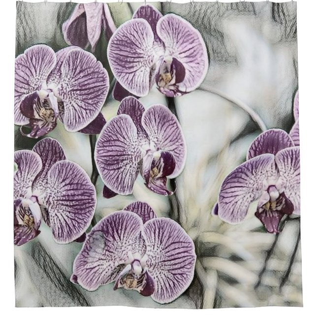Pink purple cute orchid flowers drawing  shower curtain (Front)