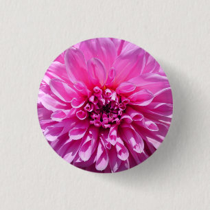 Pink Purple Dahlia Flower  3 Cm Round Badge