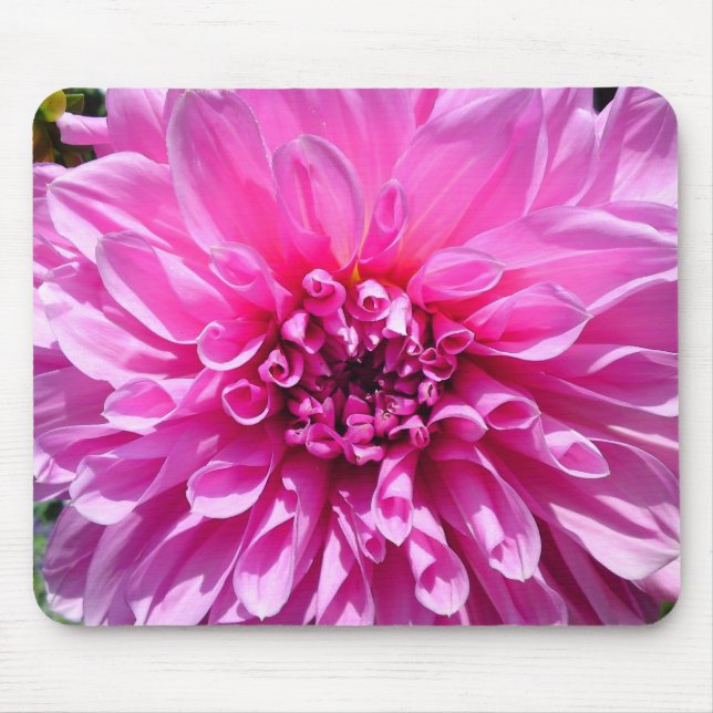 Pink Purple Dahlia Flower Mouse Mat (Front)