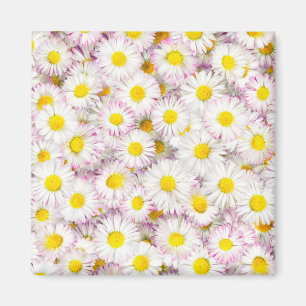Pink Purple Daisy Flower Pattern Magnet