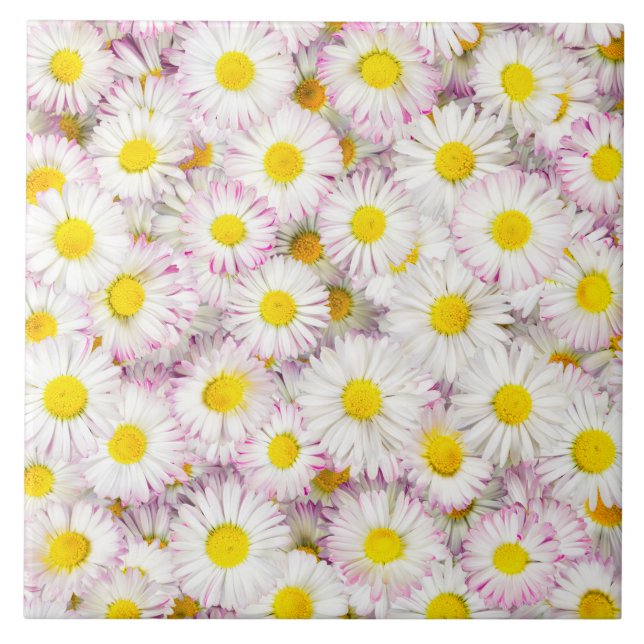 Pink Purple Daisy Flower Pattern Tile (Front)