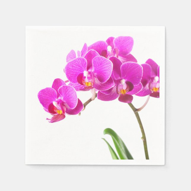 Pink Purple Dendrobium Orchid Tropical Flower Napkin (Front)