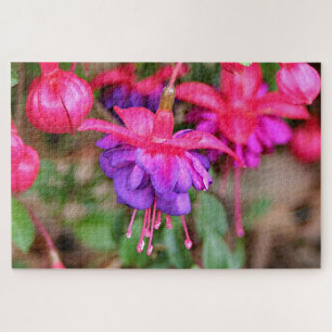 Pink & purple Fuchsia flowers in bloom Jigsaw Puzzle