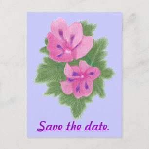 Pink Purple Geranium Save the date Postcards