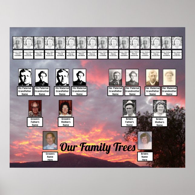Pink Purple Gold-Lined Clouds Two Family Trees Poster (Front)
