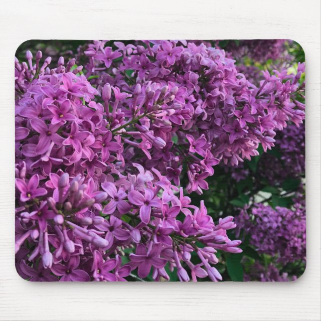 Pink purple lilacs | romantic pink floral photo mouse mat (Front)