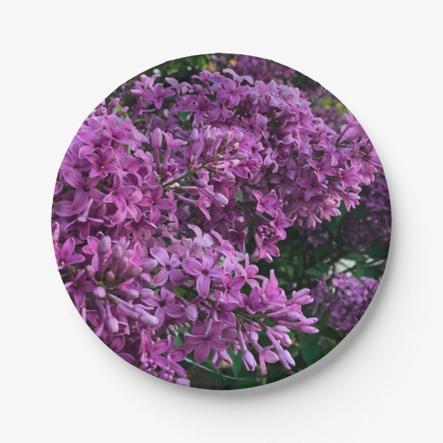 Pink purple lilacs | romantic pink floral photo paper plate (Front)