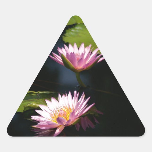 Pink Purple Lotus Waterlilies Triangle Sticker (Front)