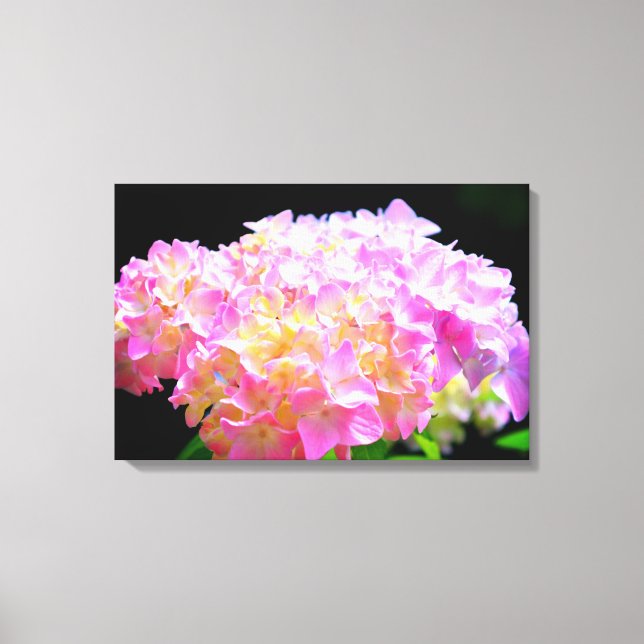 Pink purple orange hydrangeas canvas print (Front)