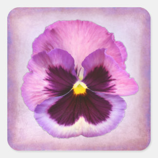 Pink Purple Pansy Flower Square Sticker