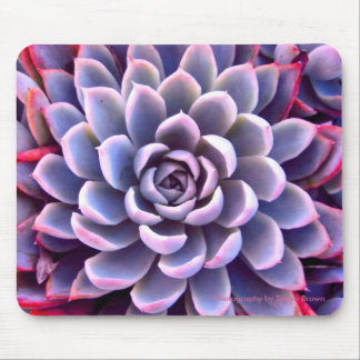 PInk & Purple Succulent Mousepad