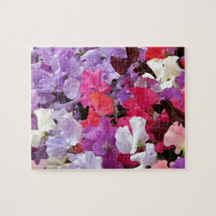 Pink, purple & white Sweet pea flowers in bloom Jigsaw Puzzle
