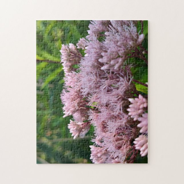 Pink Pye Weed Lens Jigsaw Puzzle (Vertical)