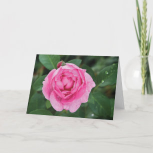 Pink Raindrops Valentine Holiday Card
