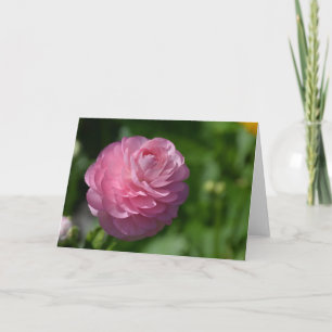 Pink ranunculus flower card