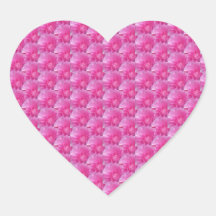 Pink Ranunculus – Modern Floral Dedign