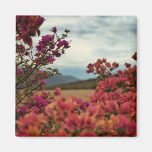 Pink Red Bougainvillea Flowers Landscape Magnet