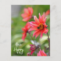 Pink & Red Dahlia Bee Happy Flowers Wisley