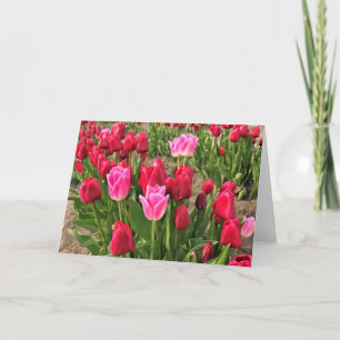 Pink & Red Tulips Card