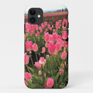 Pink & Red Tulips in a Field, Oregon iPhone 11 Case
