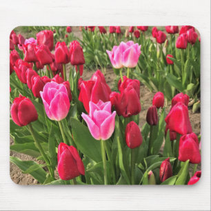 Pink & Red Tulips Mouse Mat