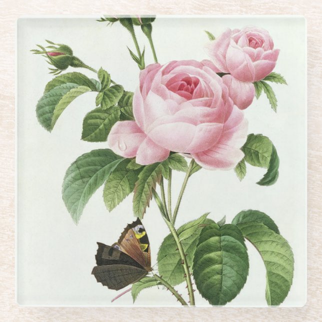 Pink Redoute Rose Glass Coaster (Front)
