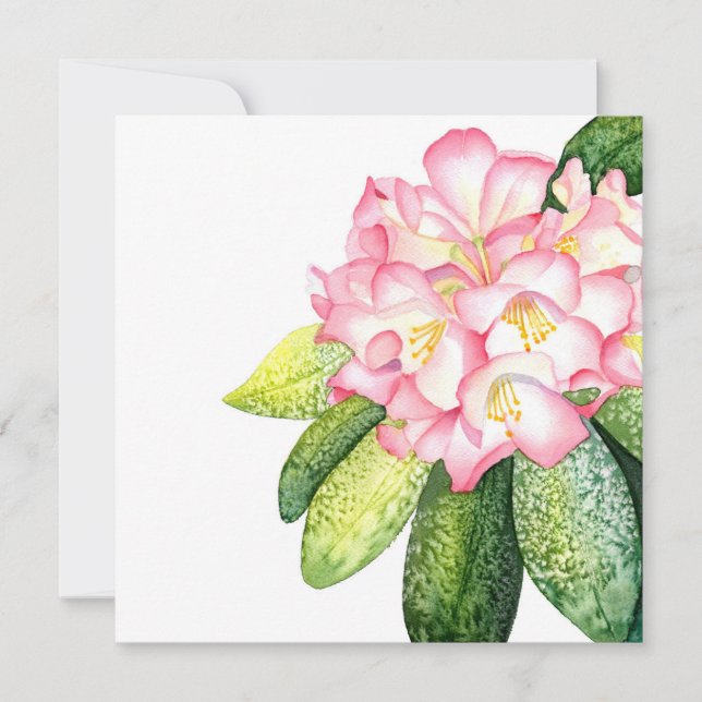 'Pink Rhod' Watercolor Card (Front)