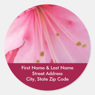 Pink Rhodies Flowers Address Labels stickers