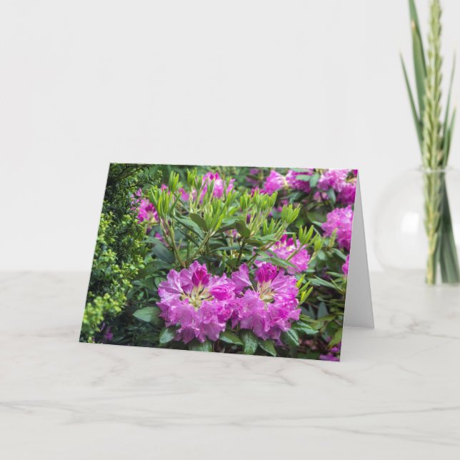 Pink Rhododendron Blank Note Card (Front)