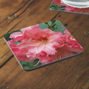 Pink Rhododendron Bloom Floral Coaster