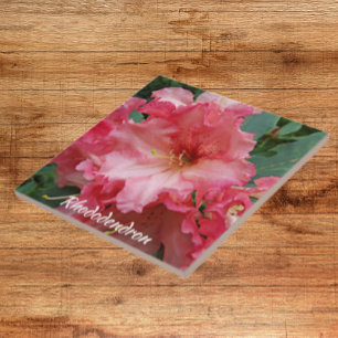Pink Rhododendron Bloom Floral Tile