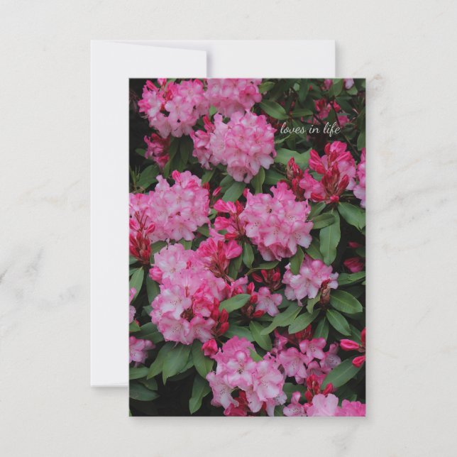 Pink Rhododendron Card (Front)
