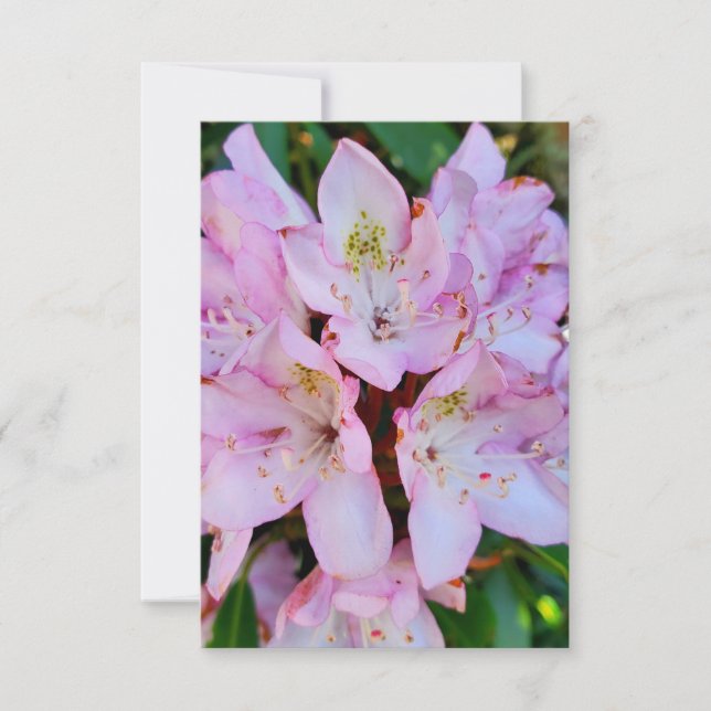Pink Rhododendron Flower Invitation (Front)