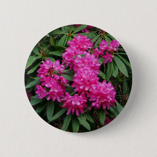 Pink Rhododendron Flowers Badge (Front)