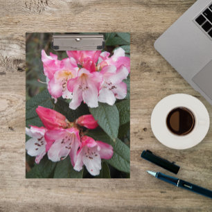 Pink Rhododendron Flowers Floral Clipboard