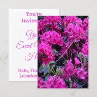 Pink Rhododendron Flowers