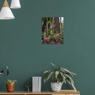Pink Rhododendron in a Forest Floral Photographic  Poster