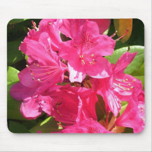 pink rhododendron mouse mat