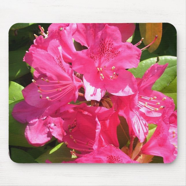 pink rhododendron mouse mat (Front)