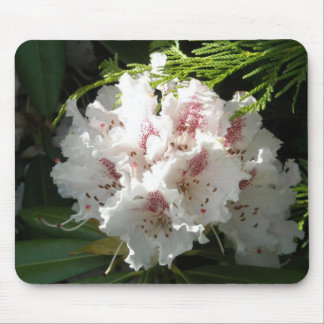 Pink Rhododendron Photo Mouse Mat